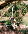 /album/fotogalerie-moje-outside-prace-/martinh-collection-outdoorphotos-september-2025-4-jpg/